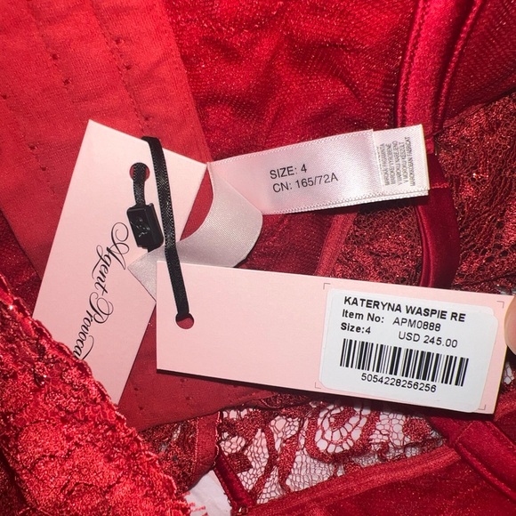 Agent Provocateur Kateryna waspie nwt ap4 - Picture 2 of 8